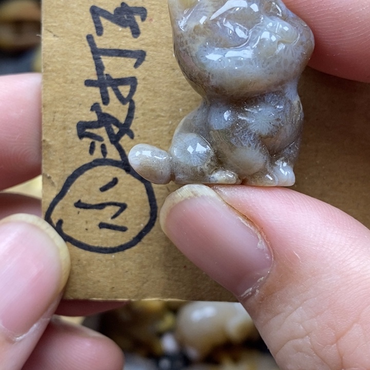 硅化珊瑚（珊瑚玉）未镶嵌颈饰