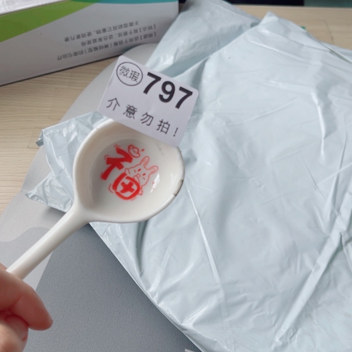 陶瓷摆件……………………