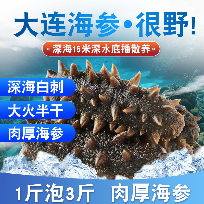 4斤-9斤大连辽刺参深海拉缸盐海参半干海参[40-45头左右/500g]