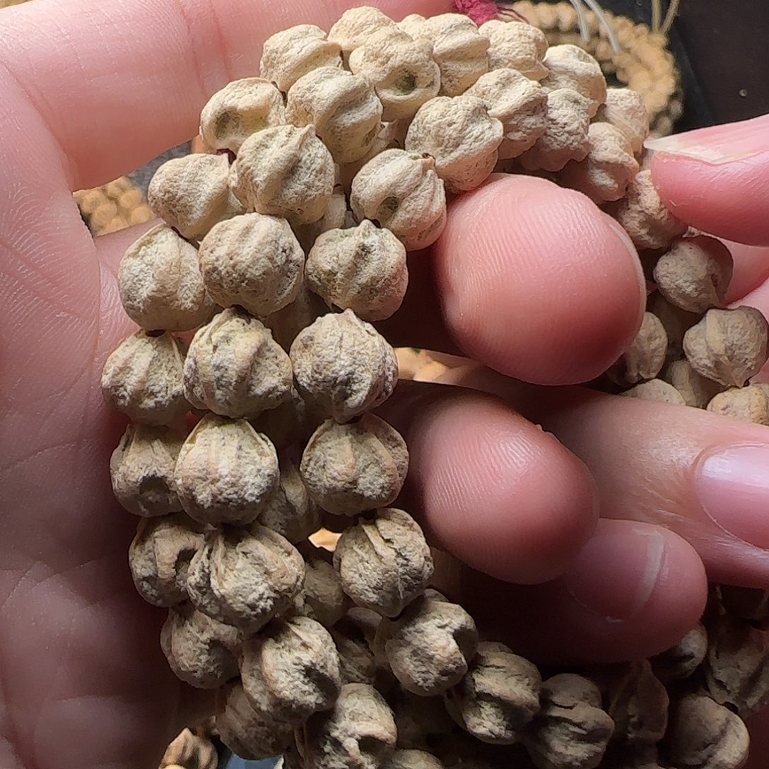 晚***.吊坠柏香籽/百香籽