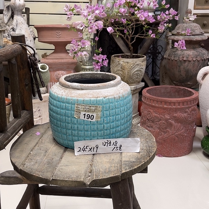 190蓝色盆11111111