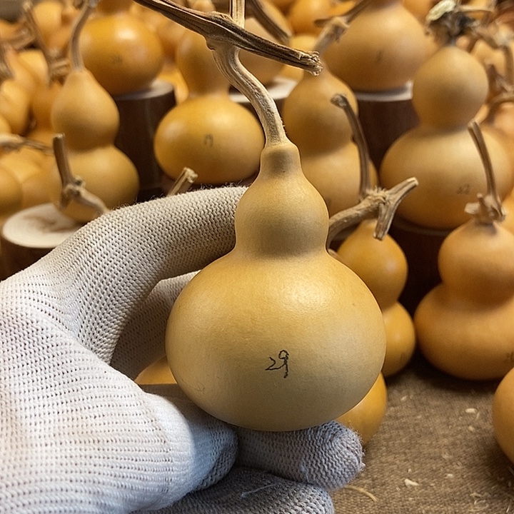 文玩葫芦 完美主义者 慎拍29