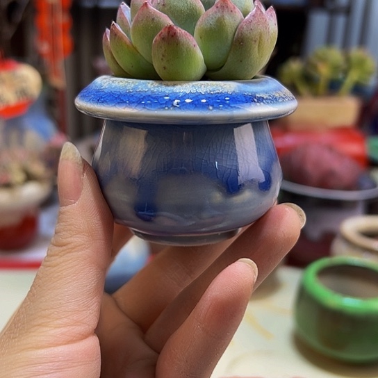 景德镇陶瓷研究所