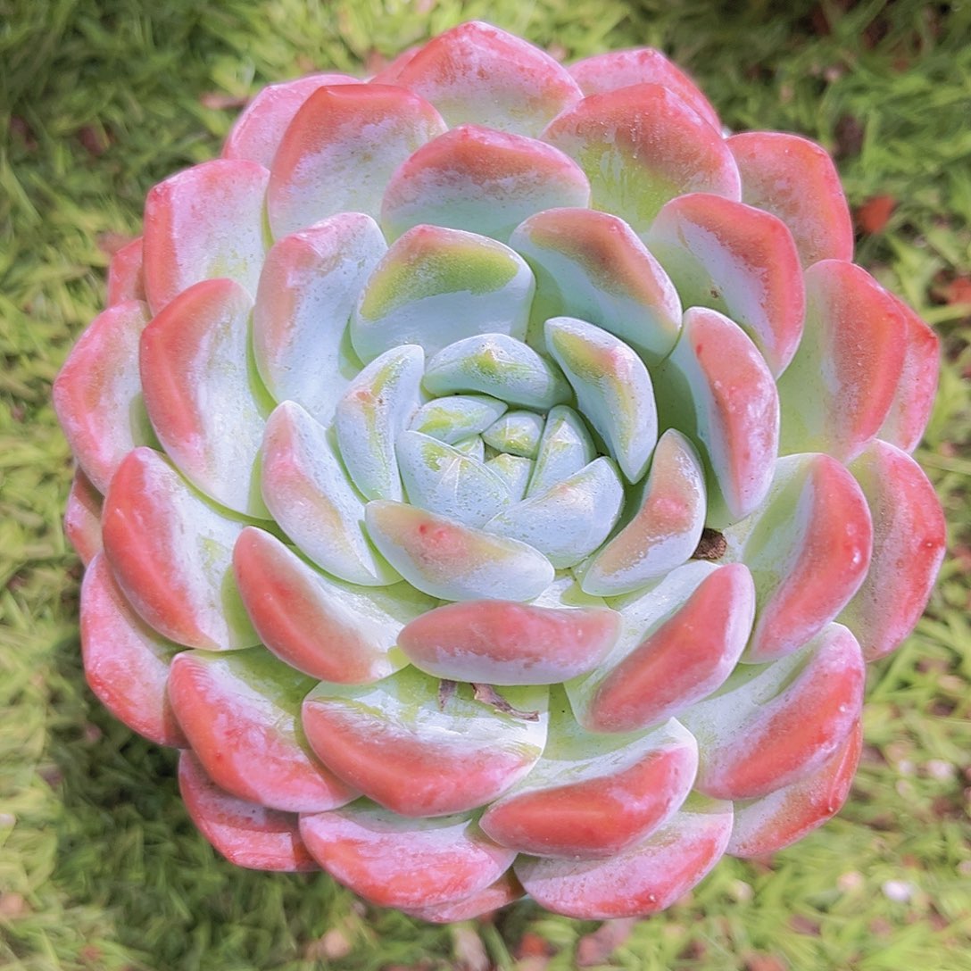 13号888888888898999999