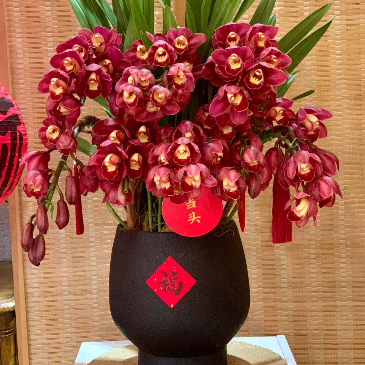 （红梅）喜庆红色大花蕙兰年宵花室内外好养带花剑带花苞盆栽