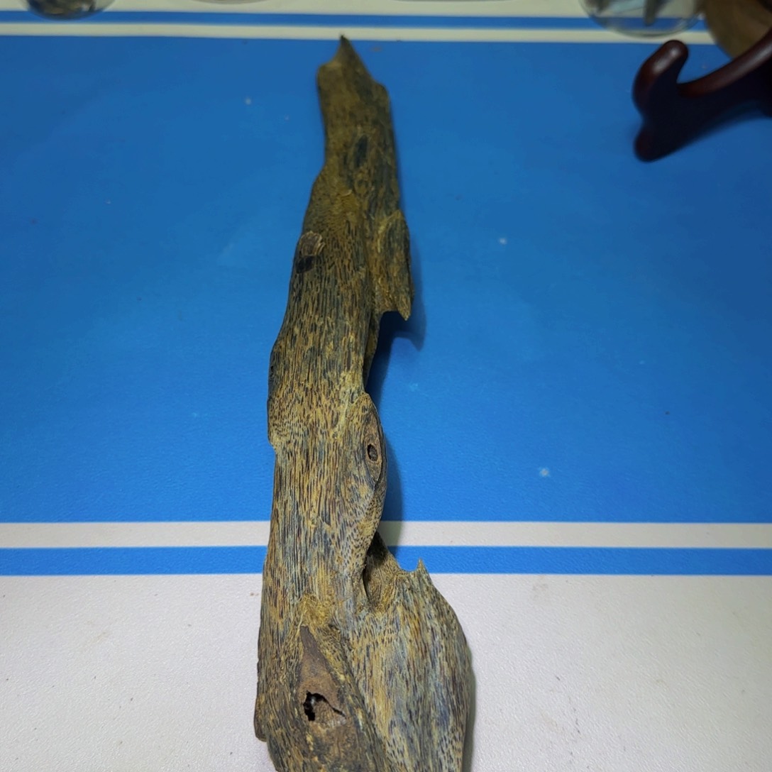 沉香手把件道*自沉香奇楠虎斑棋老料145克