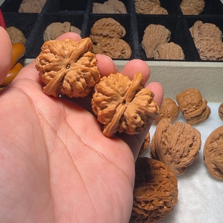 文玩核桃把件蚂蚁沟