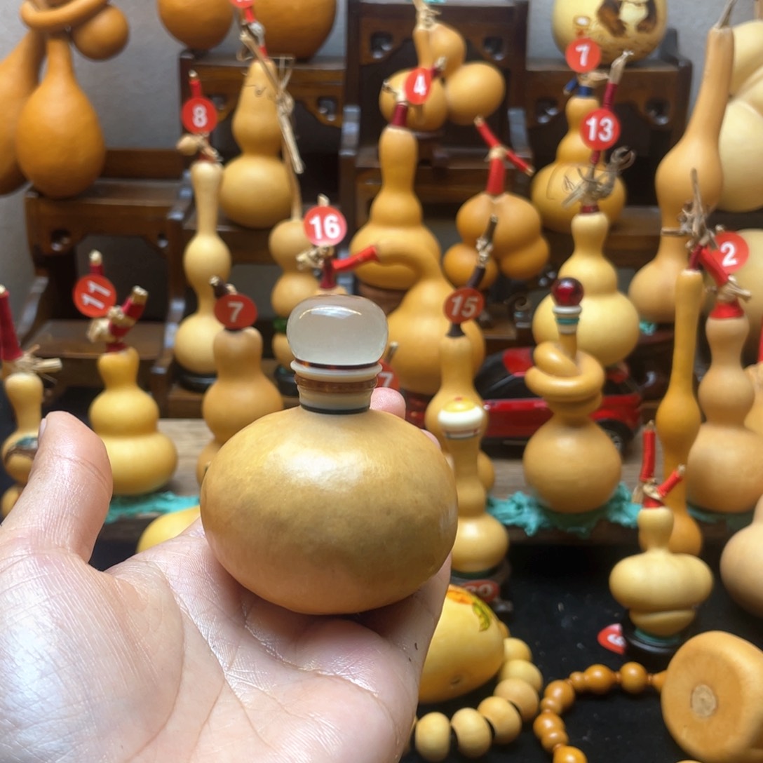 幸****?大自然的秘密第十一节你是什么