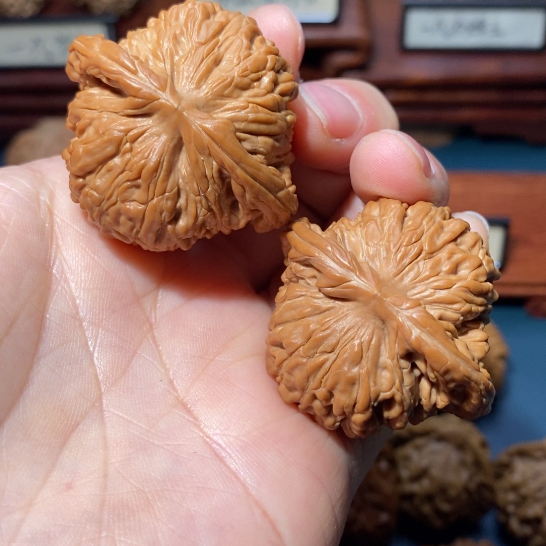 文玩核桃把件海**C核桃