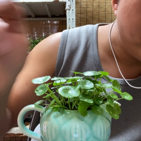 红陶用****4一物一拍所见即所得95