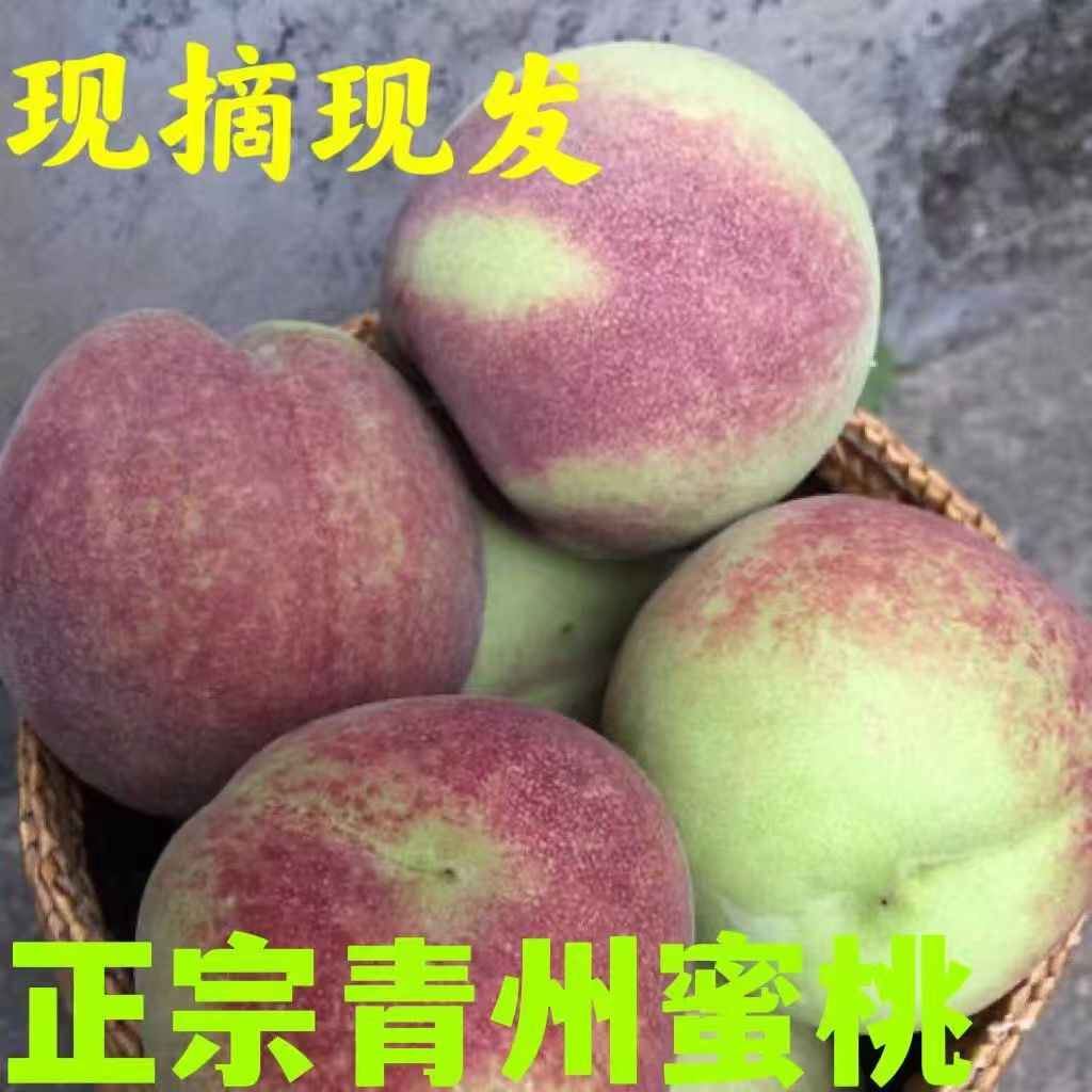 山地老蜜桃脆甜离核小时候的味道青皮