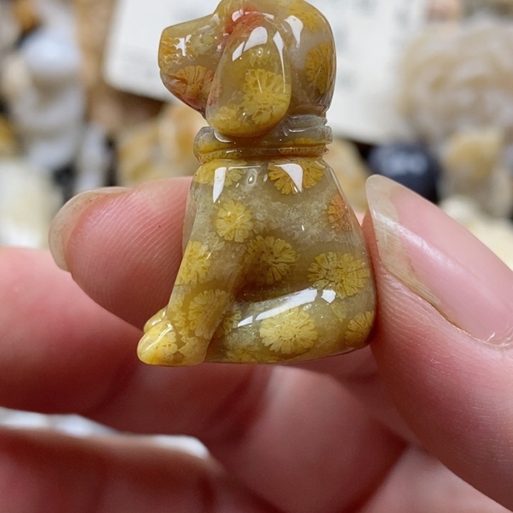 颈饰未镶嵌硅化珊瑚（珊瑚玉）