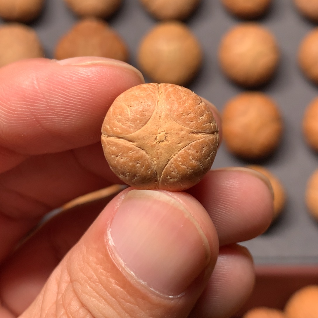 吊坠凤眼菩提17mm尼泊尔麒麟，打孔直播间和我说
