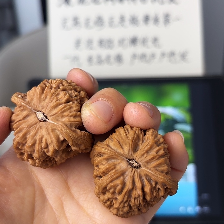 蘇****南疆石狮子头一对