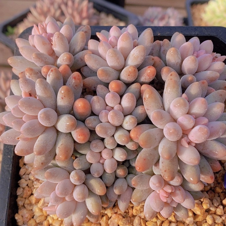 你就这样让自己后悔