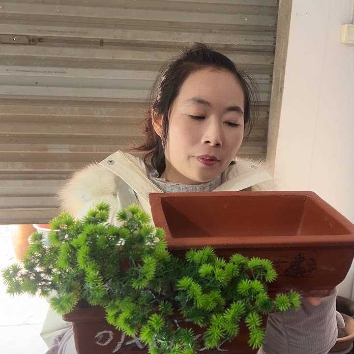 26+26红马槽花盆花盆花盆