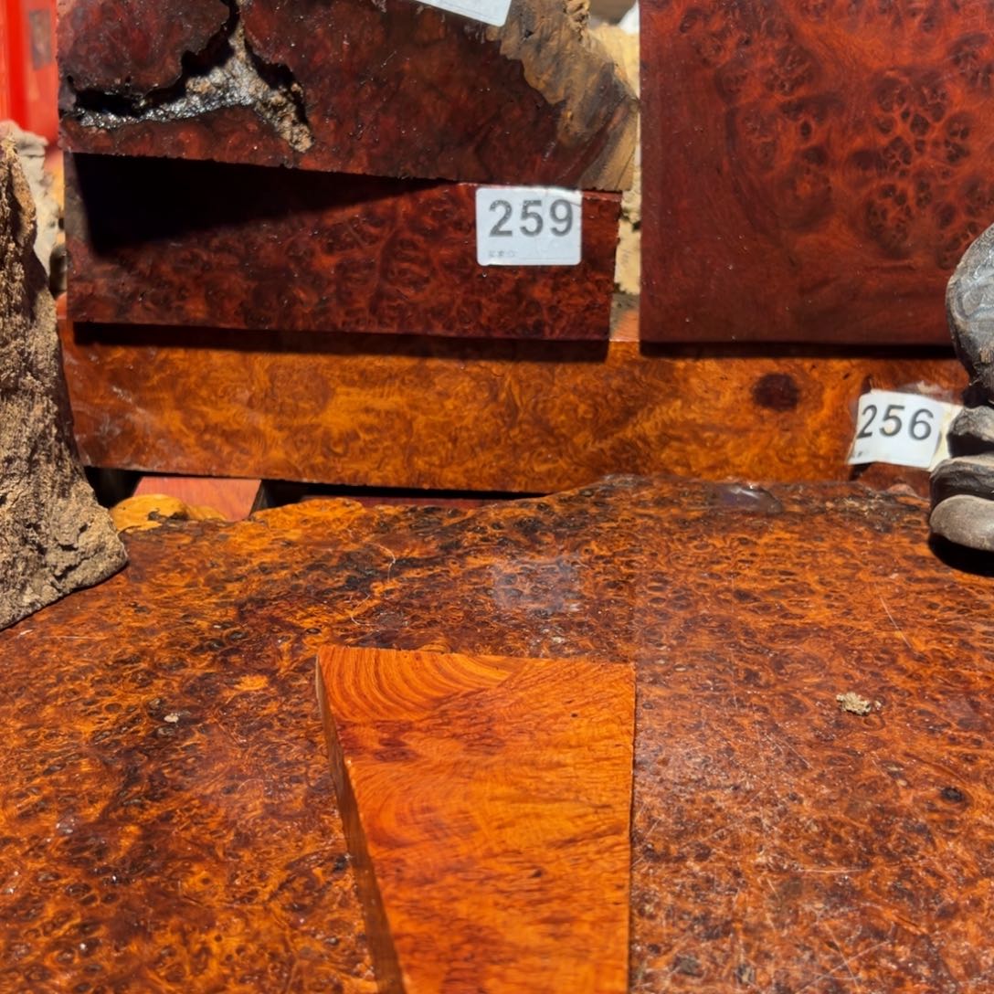 大果紫檀（缅甸花梨）