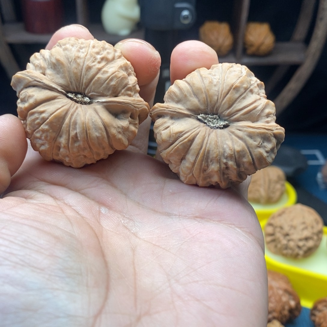 文玩核桃把件45+南瓜墩