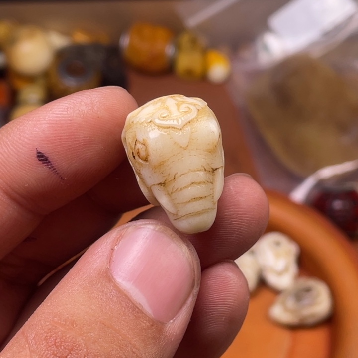 驼骨其他人工养殖