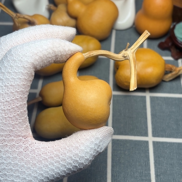 “***”葫芦6666666666666