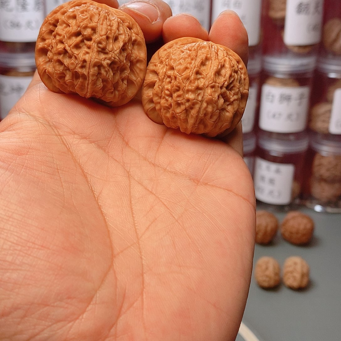 核桃把件38尺寸血麒麟核桃