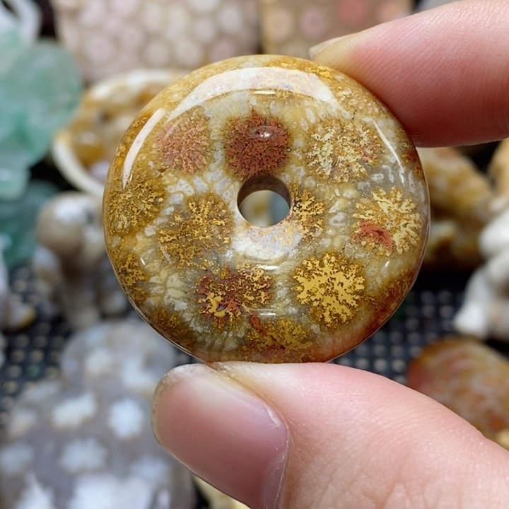 硅化珊瑚（珊瑚玉）颈饰未镶嵌