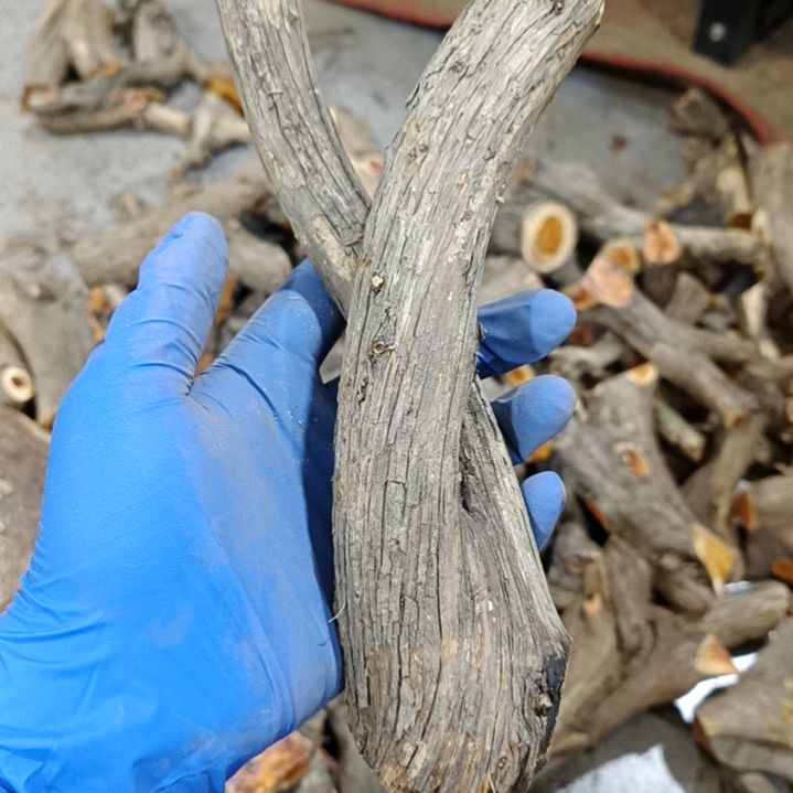 ****香榧木崖柏随行毛料毛料毛料