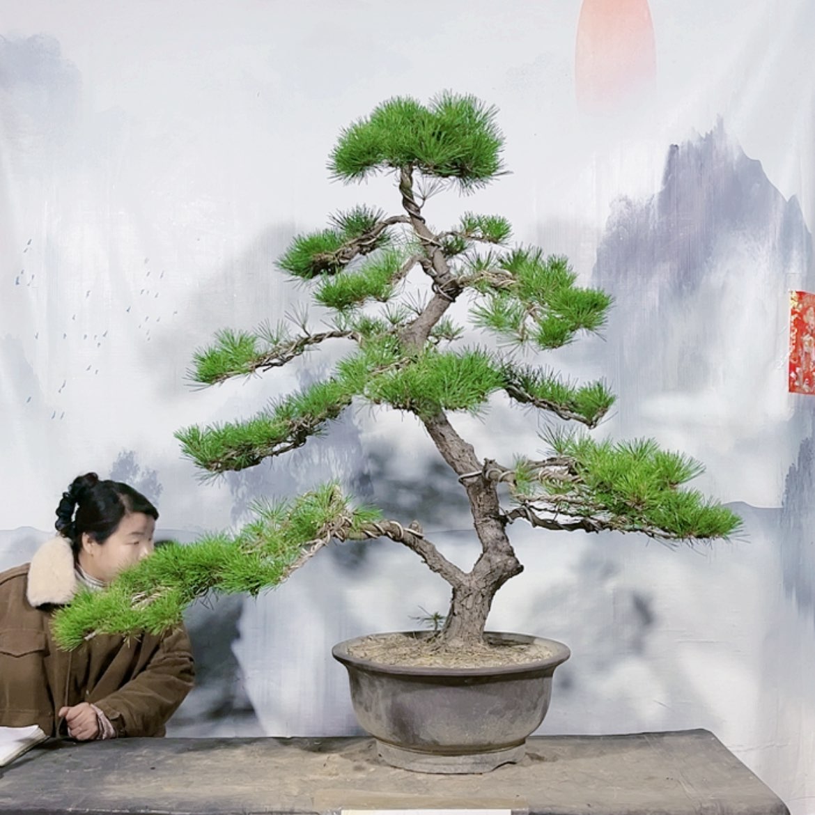 【闪购商品】无花朵运费到付