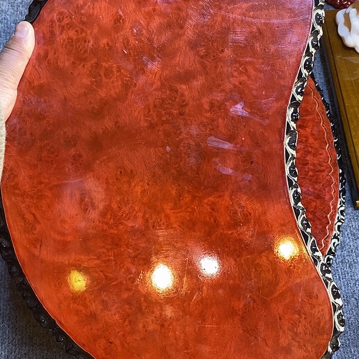 红金樟特价不退换