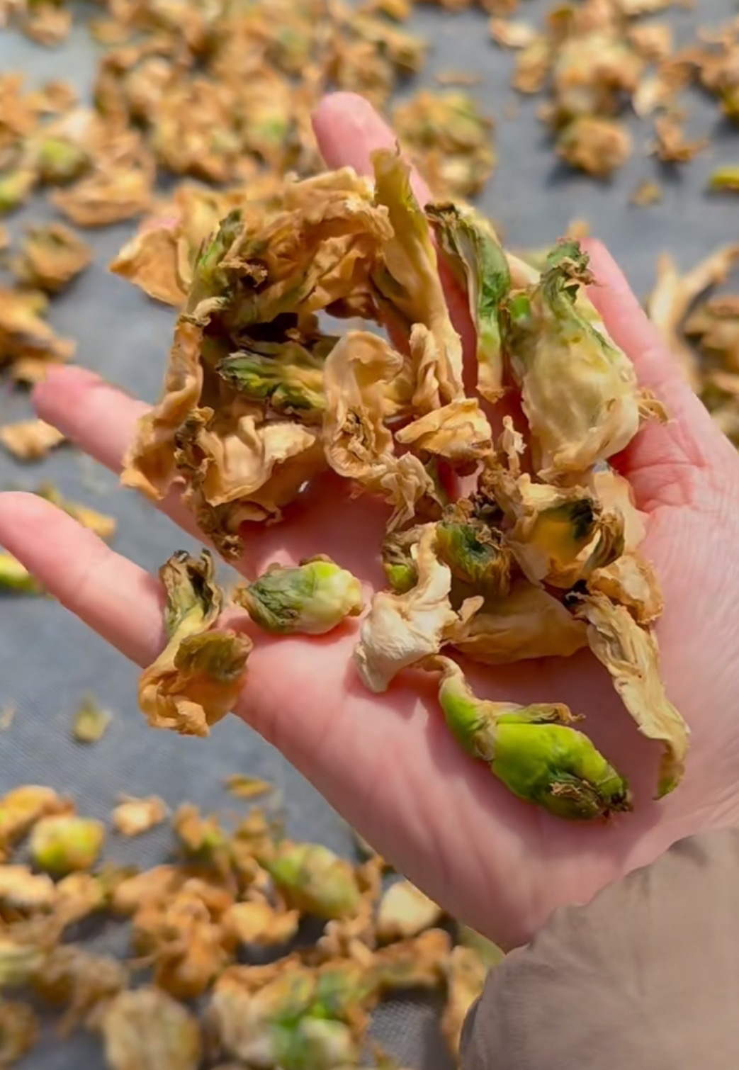 干儿菜贵州农家自制干儿菜（图片仅供参考以实际收货为主）