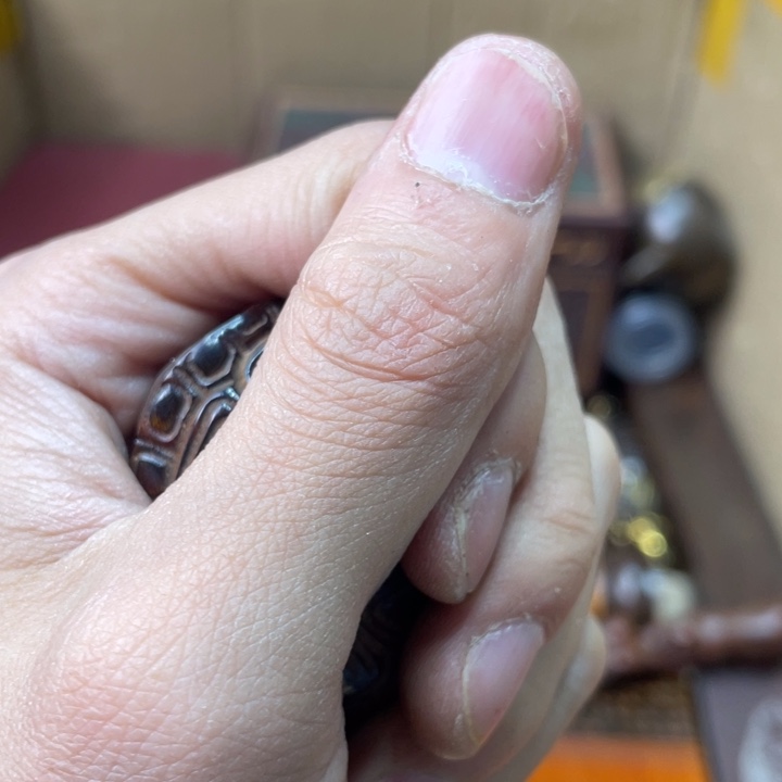 贝壳摆件峰云恩专属精选链接