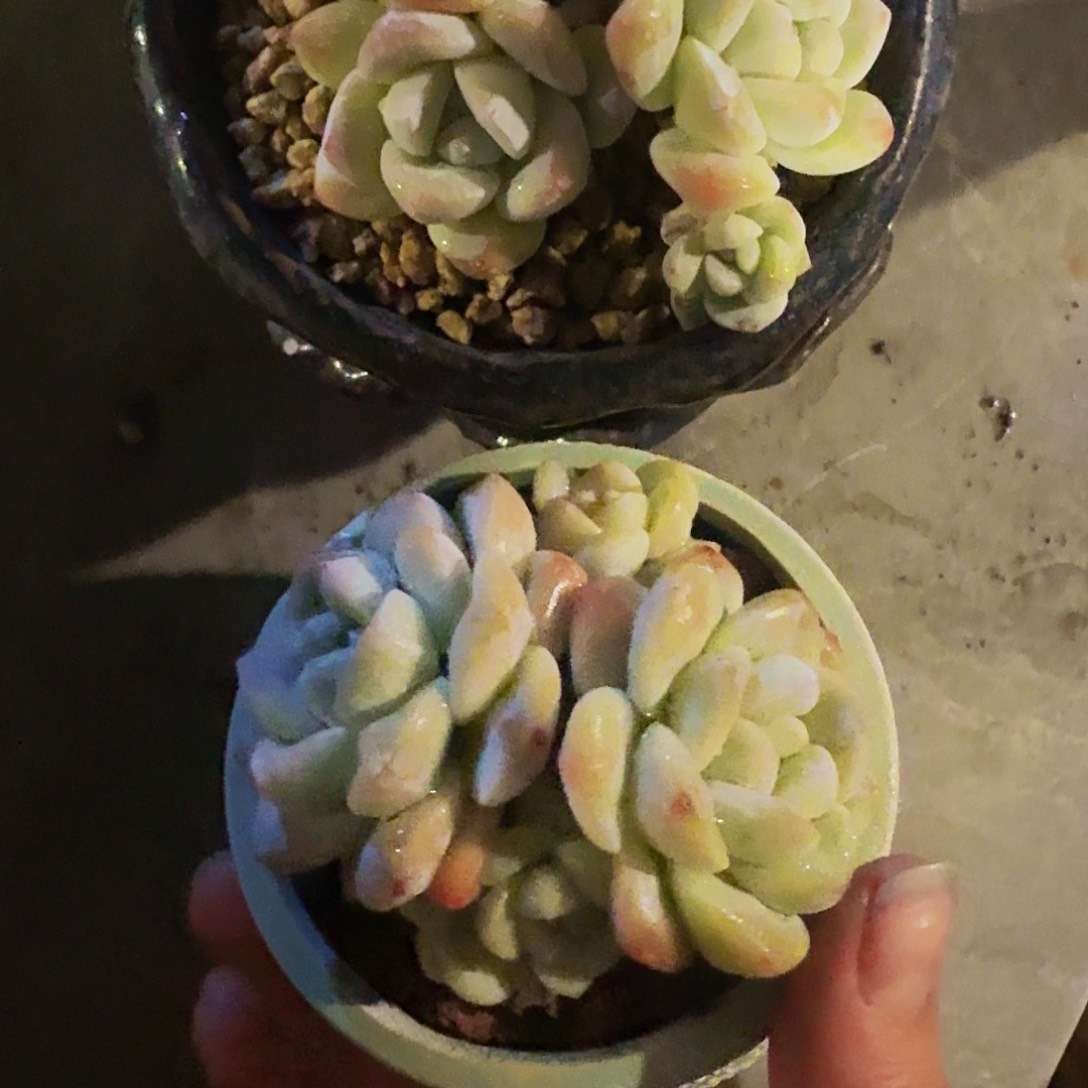 嗨**J哈哈哈哈哈哈哈哈哈