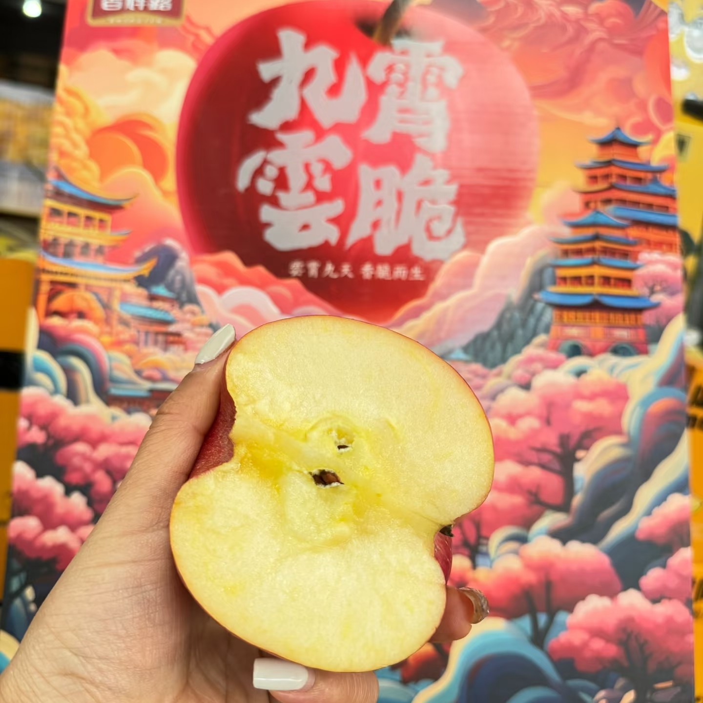 九霄云脆苹果一箱毛重5斤左右