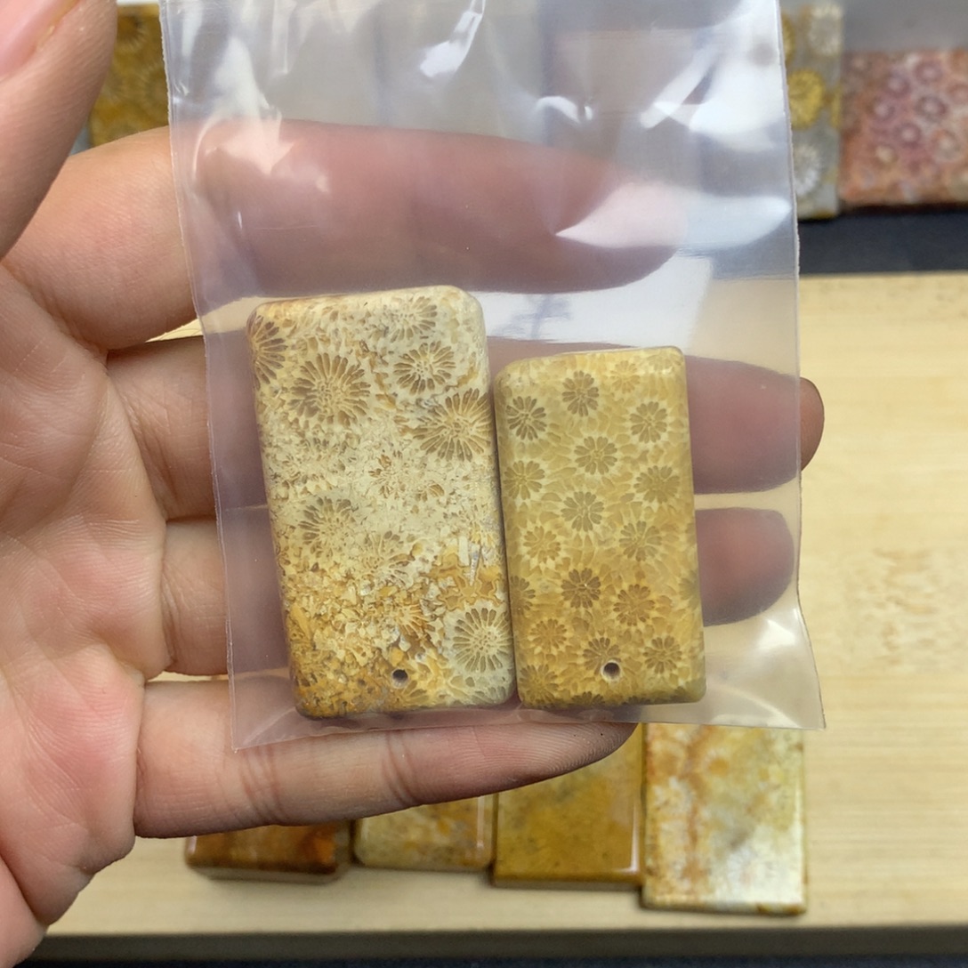 7***9硅化珊瑚（珊瑚玉）未镶嵌颈饰