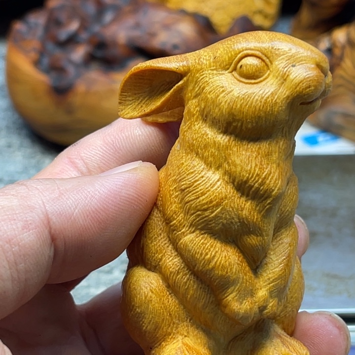 天***8柏木（崖柏）瑕疵565