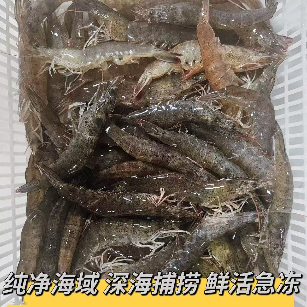刚断氧盐田虾 可扒虾仁3斤不包售后 仅限大连同城 超划算顺丰包邮