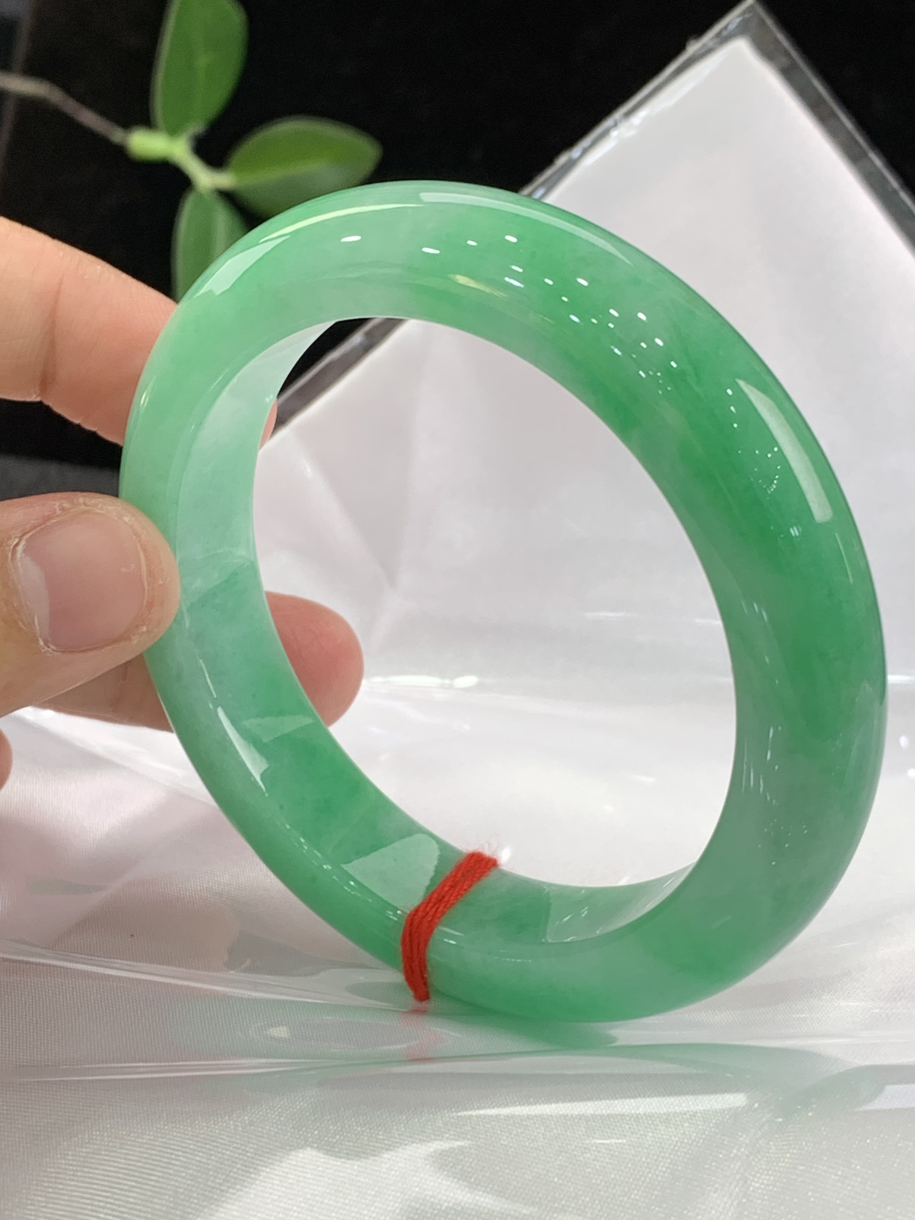 天然缅甸翡翠A货手镯56正圈2870