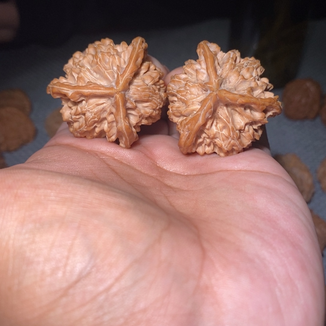 桃核吊坠39尺盘山