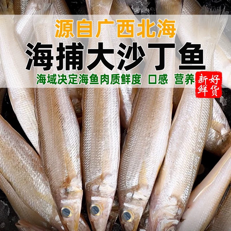 【斌哥】野生沙丁鱼沙尖鱼沙锥鱼新鲜海捕码头直发速冻锁鲜发货