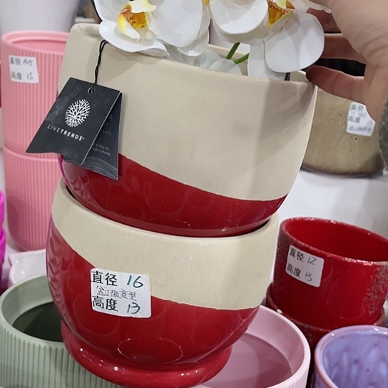 多肉绿植陶瓷花盆9.9包邮，有孔