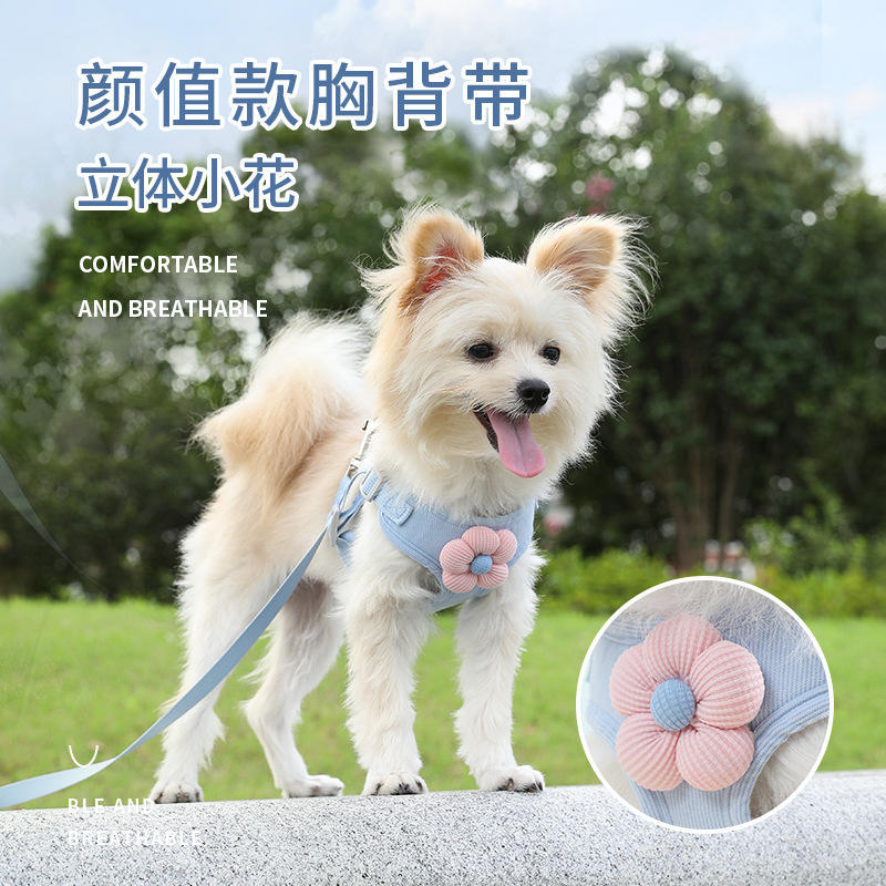 狗狗牵引胸背小型比熊专用牵引小狗牵引绳猫咪遛狗链子背心泰迪