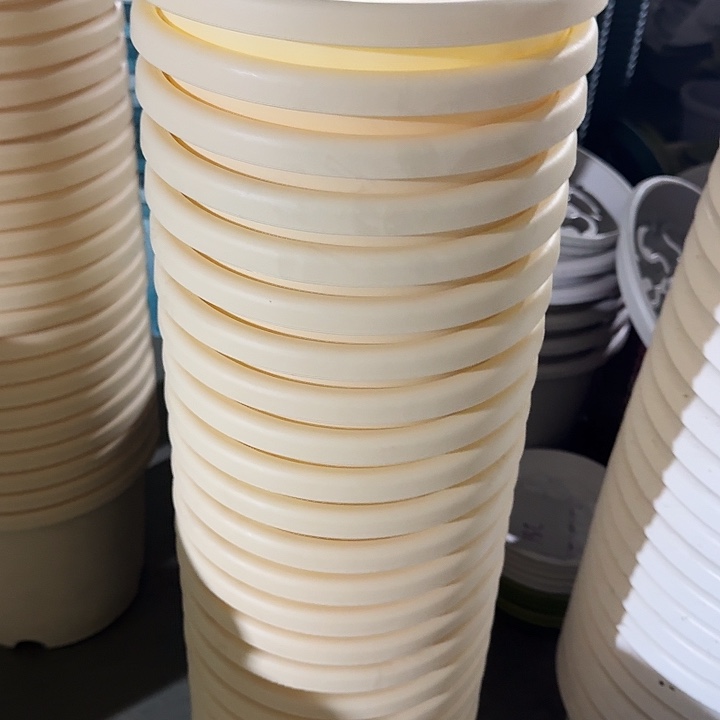 四季3号米黄无托10个磨损