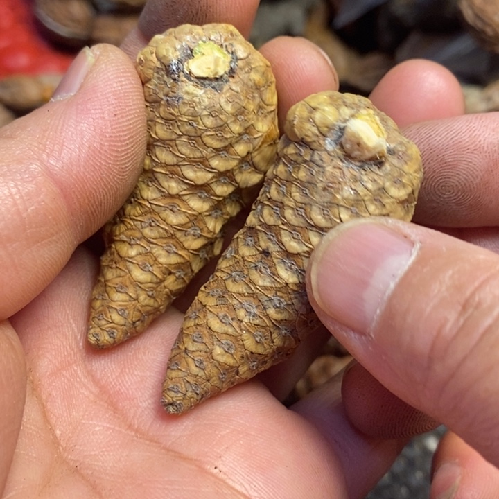 文玩核桃吊坠东北特产32