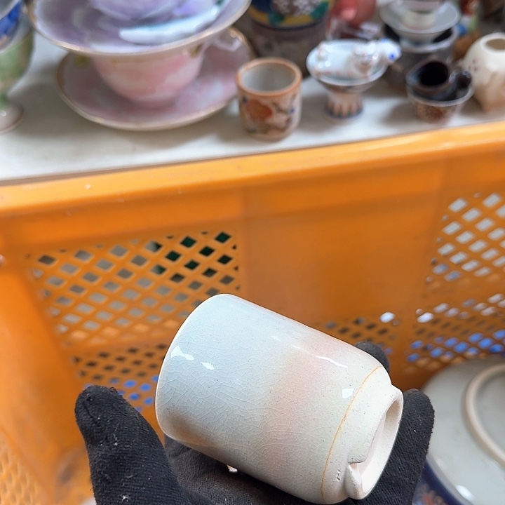 杯开播啦…开播啦