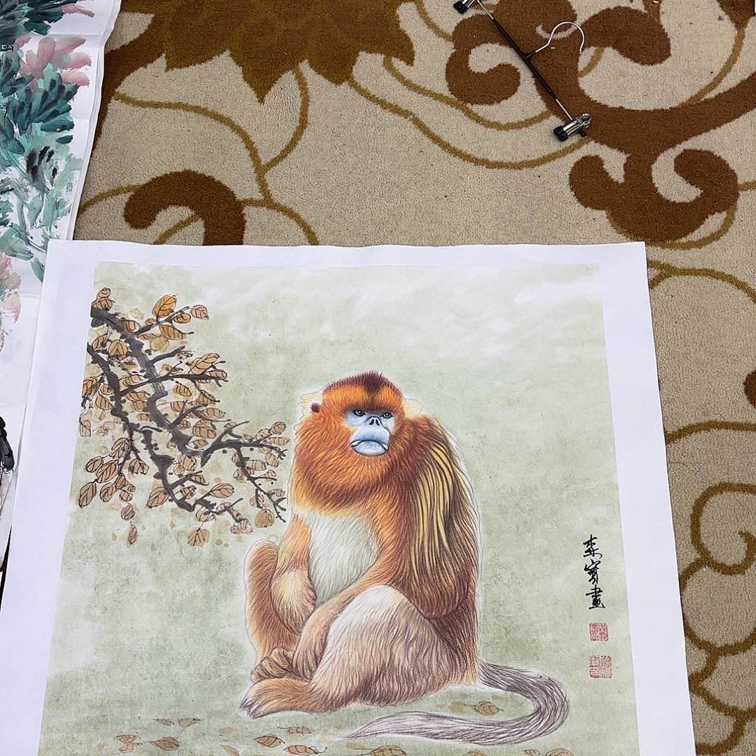 油画李李李李希李欣主播