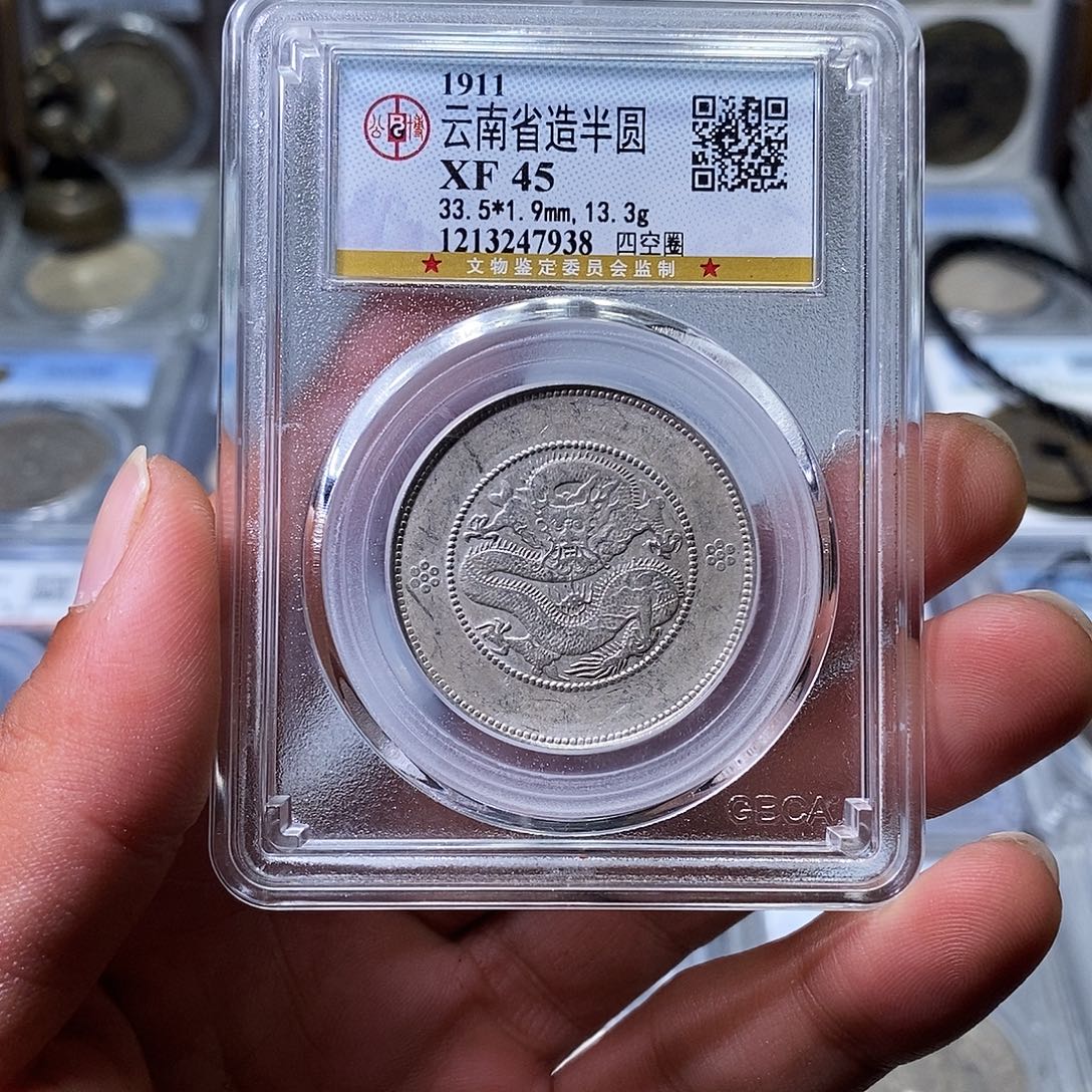 银苏皖古泉 云南半圆龙 编码7938