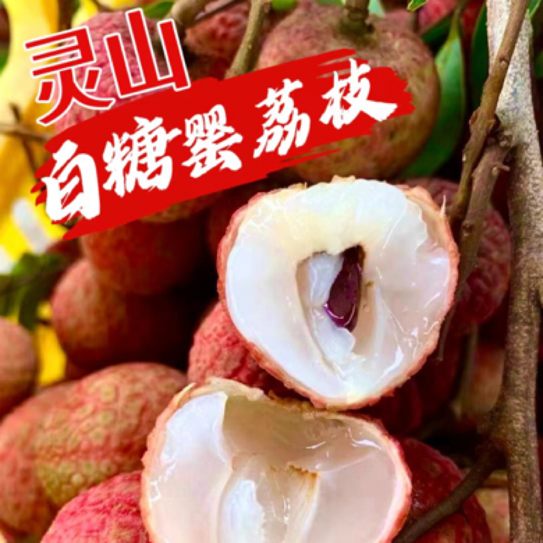广西灵山白糖罂（精品果）