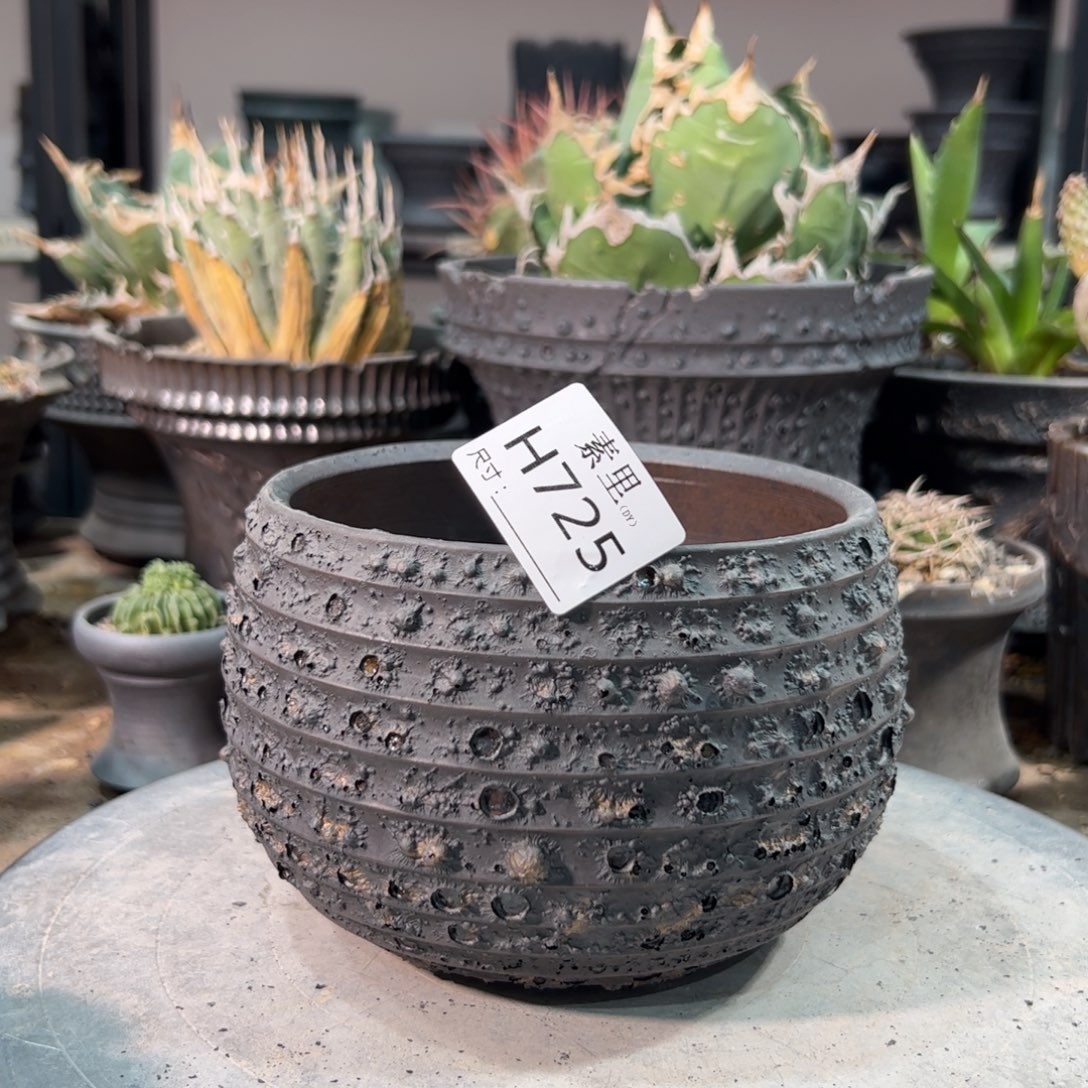 景德镇手工素里内口12.5高10