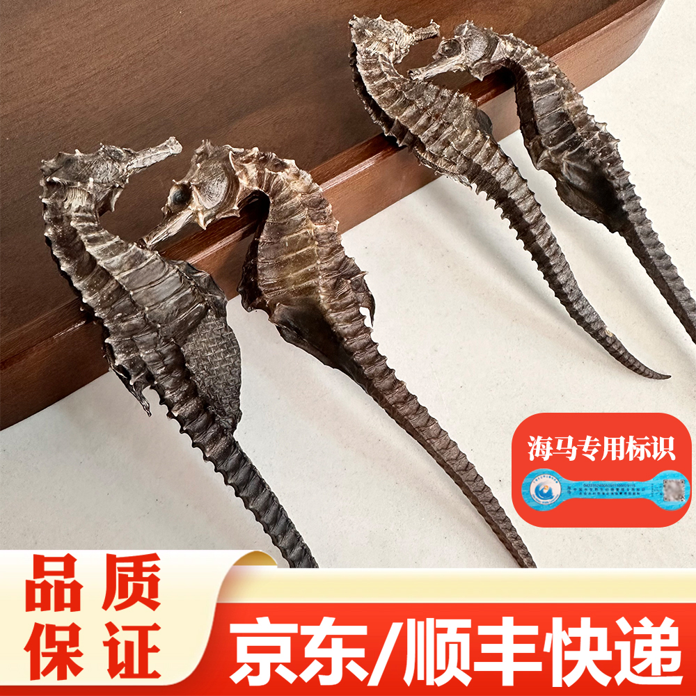 【精选】足干线纹海马干