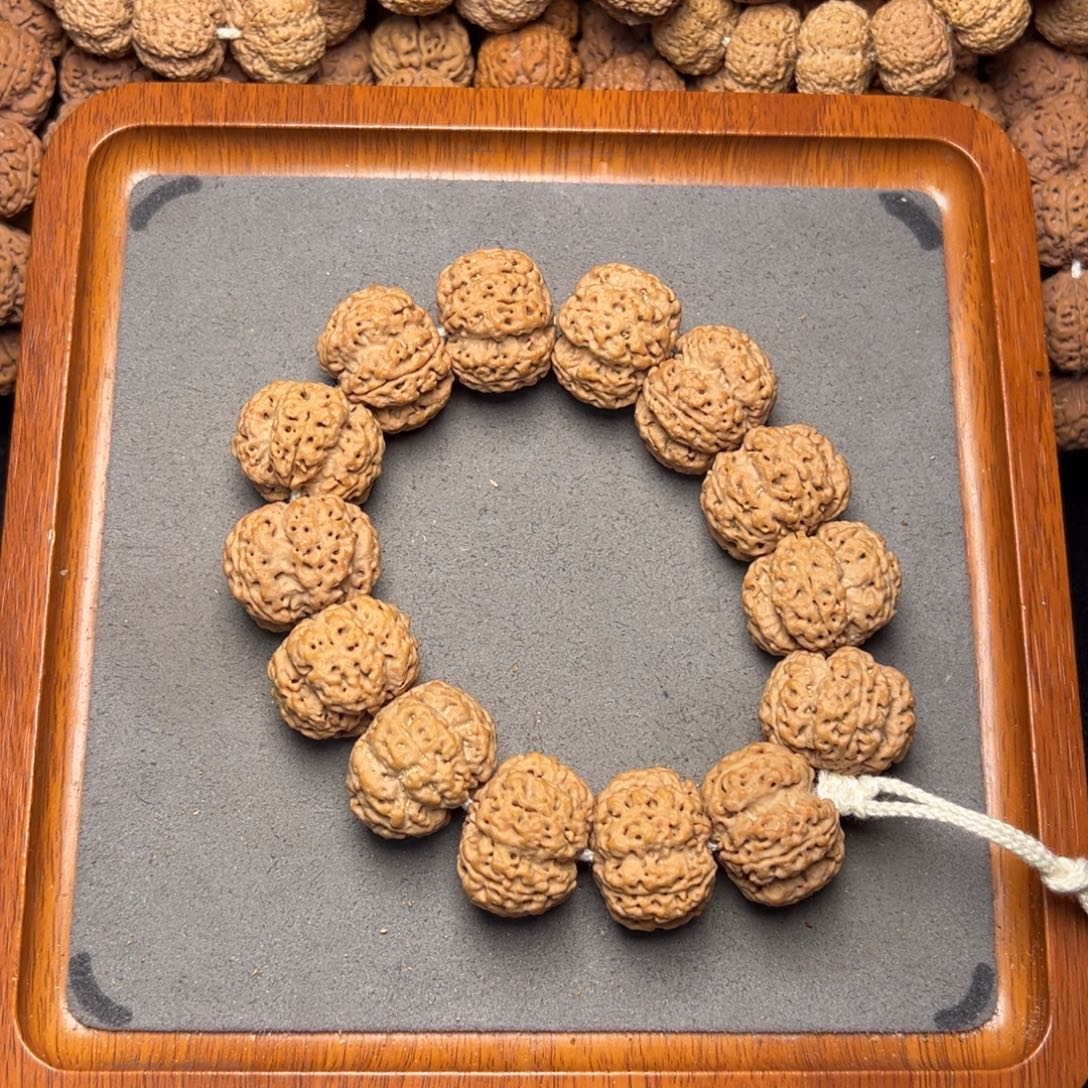 菩提7号尼泊尔大金刚26粗筋梅花霸王龙梁定制